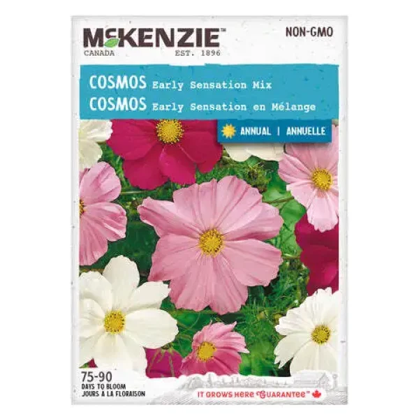 Cosmos Early Sensation en Mélange