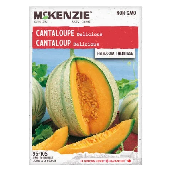 Cantaloup Delicious