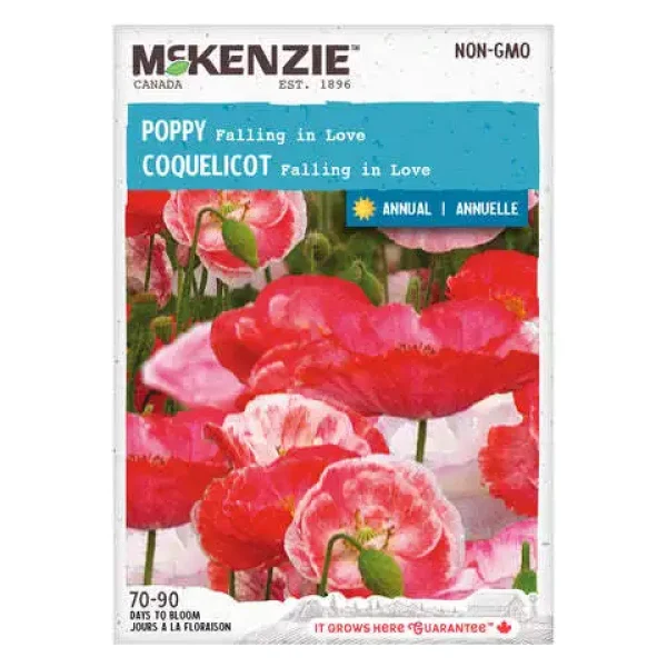 Coquelicot Falling in Love