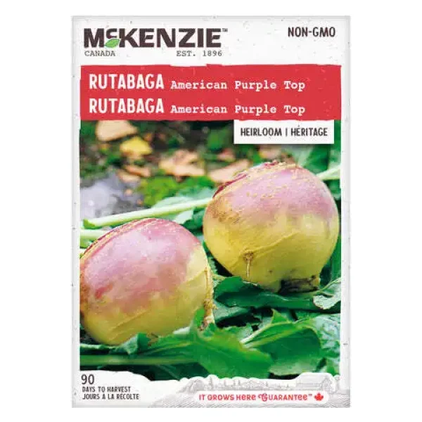 Rutabaga American Purple Top