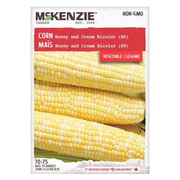 Maïs Honey and Cream Bicolor (SU)