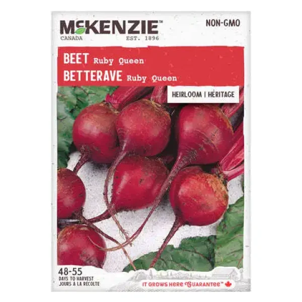 Betterave Ruby Queen