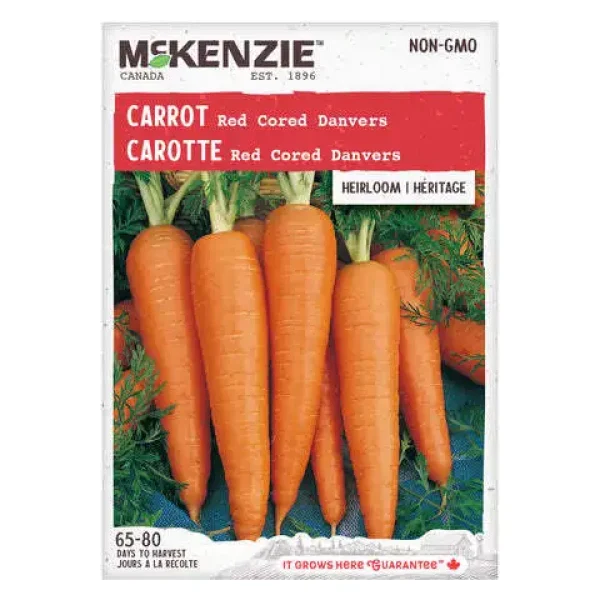 Carotte Red Cored Danvers