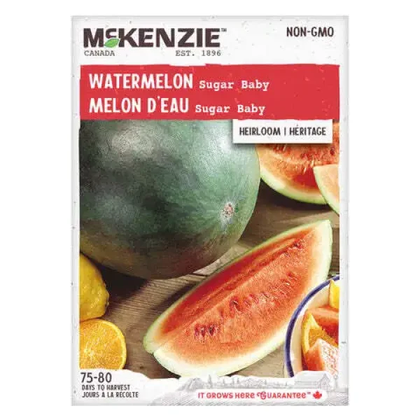 Melon d'eau Sugar Baby