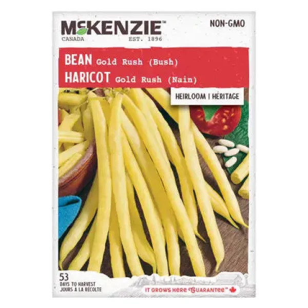 Haricot Gold Rush (Nain)
