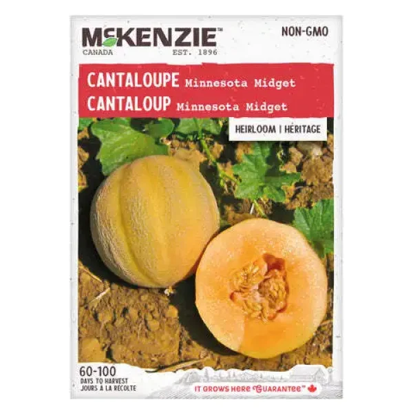 Cantaloup Minnesota Midget
