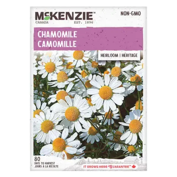 Camomille