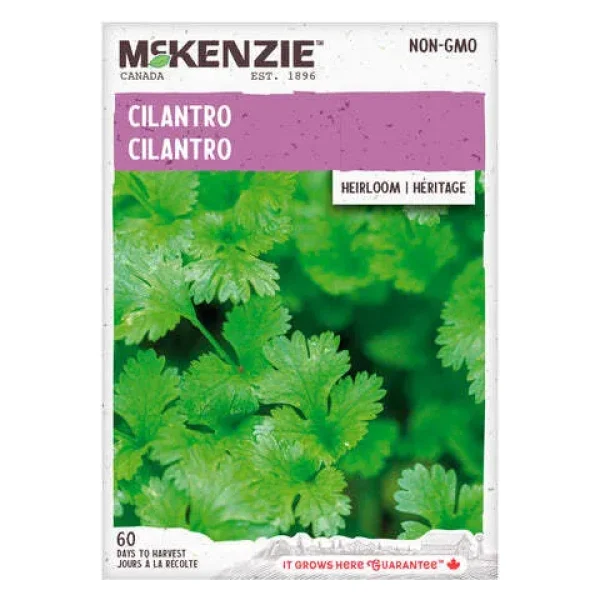 Cilantro