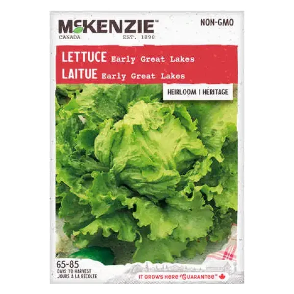 Laitue Early Great Lakes