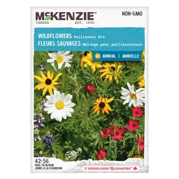 Fleurs Sauvages Mélange pour Pollinisateurs