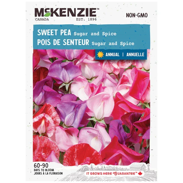 Pois de Senteur Sugar and Spice