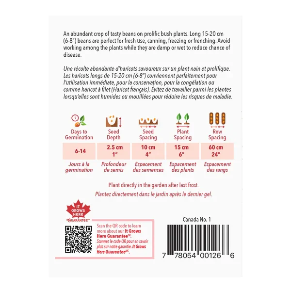 Haricot Greencrop (nain)