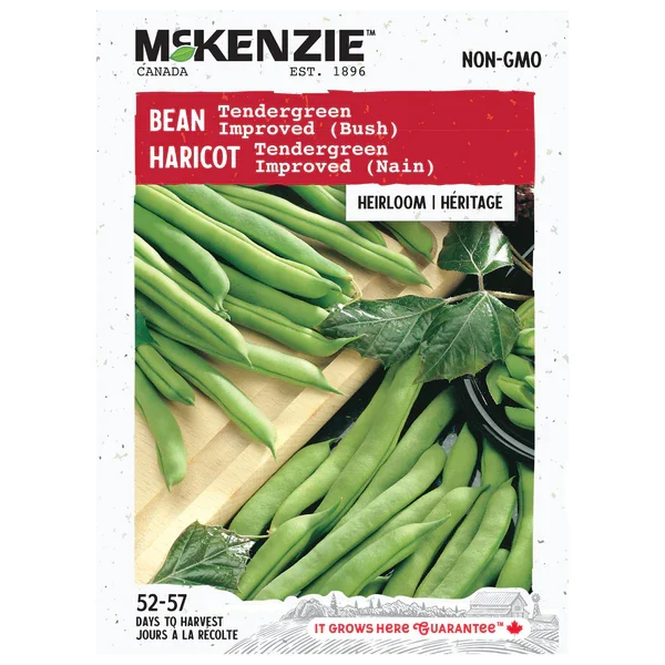 Haricot Tendergreen Improved (Nain)