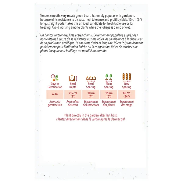 Haricot Tendergreen Improved (Nain)