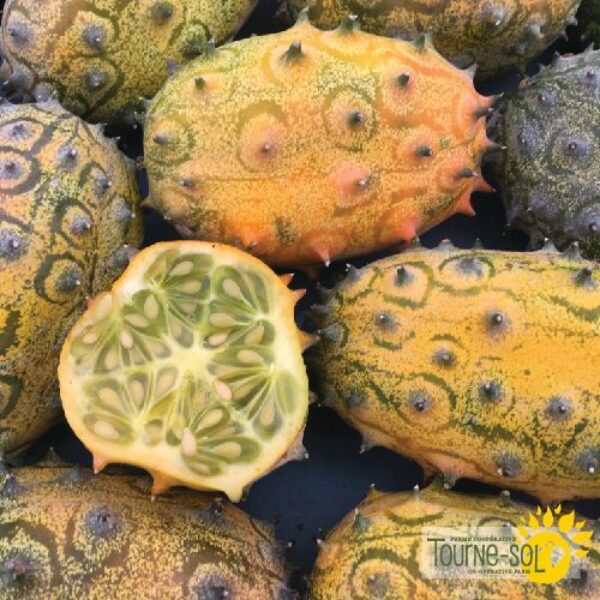 Melon Kiwano - Bio