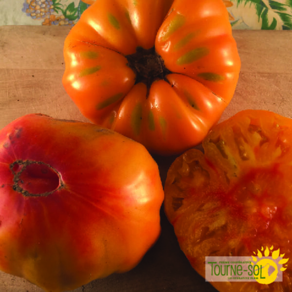 Tomate Orange Striped German - Bio