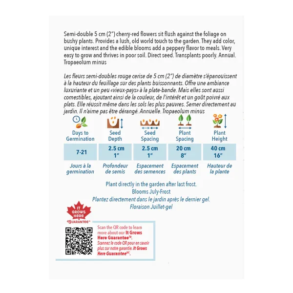Capucine Dwarf Double Cherry Rose