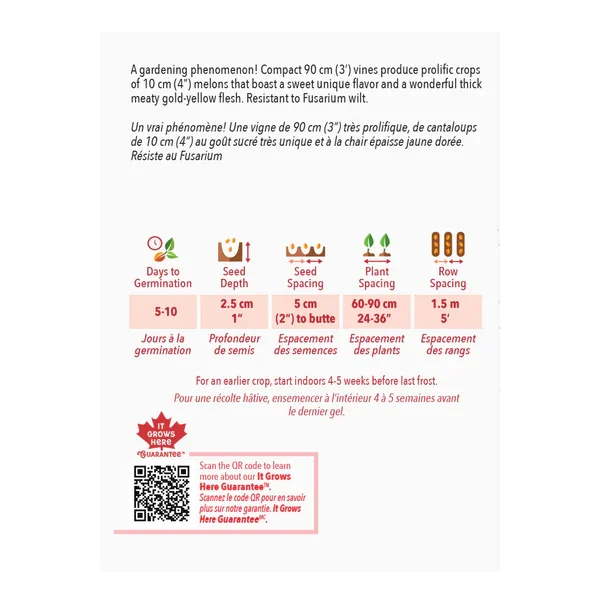 Cantaloup Minnesota Midget