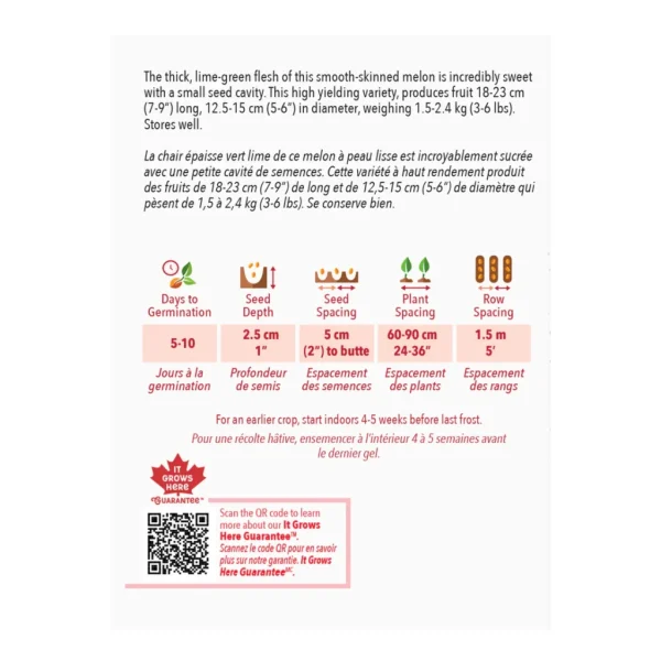 Melon Miel Green Flesh