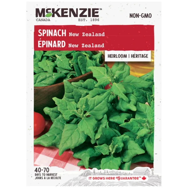 Épinard New Zealand