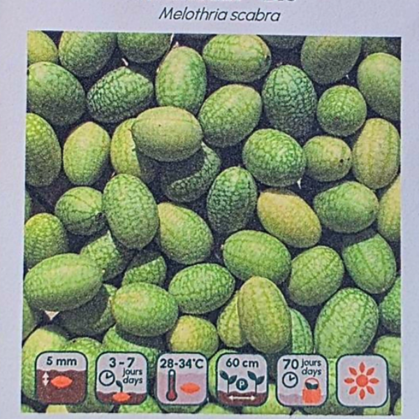 Concombre Mexicain - Bio