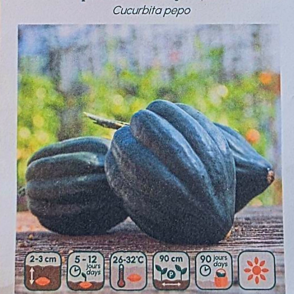 Courge Poivrée Tuffy - Bio
