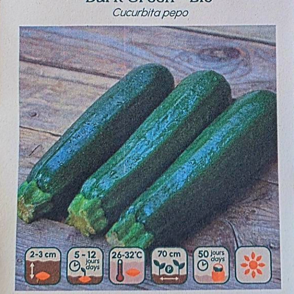 Courgette Dark Green - Bio