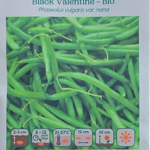 Haricot Nain Black Valentine - Bio