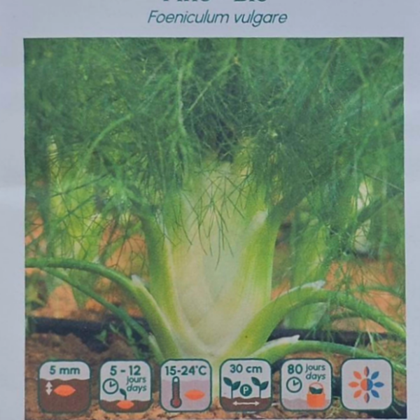 Fenouil Fino - Bio