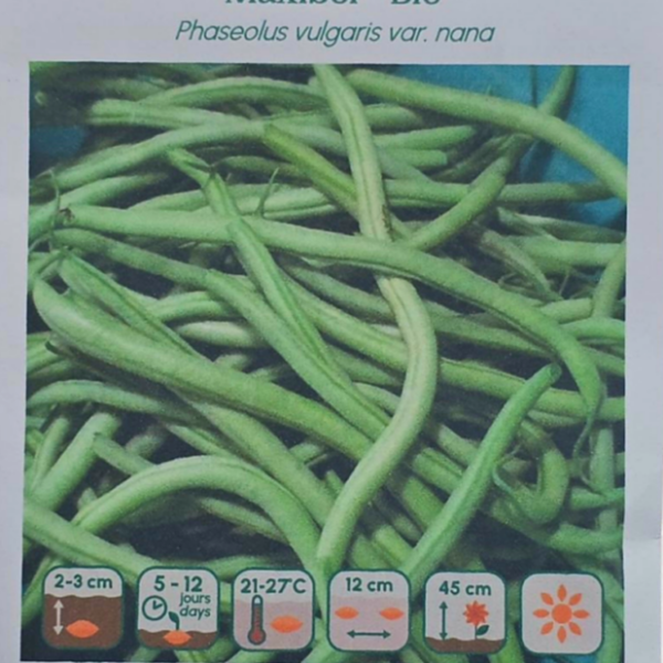 Haricot Nain Maxibel - Bio