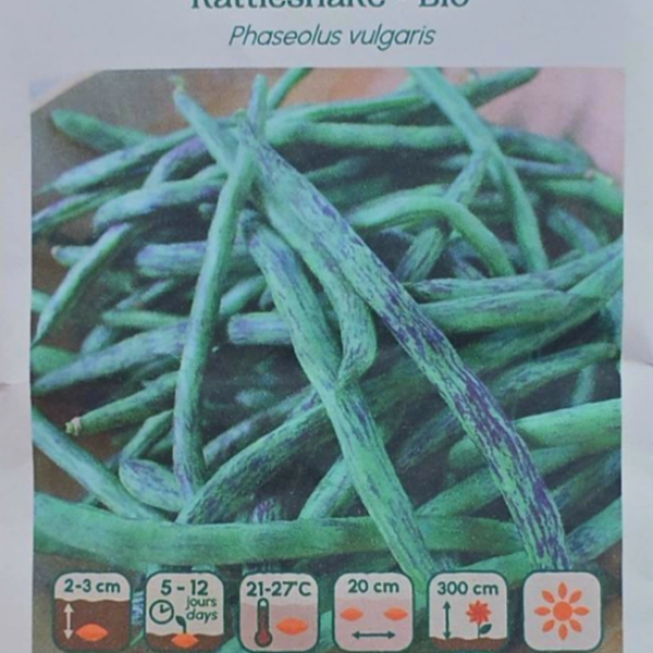 Haricot Grimpant Rattlesnake - Bio