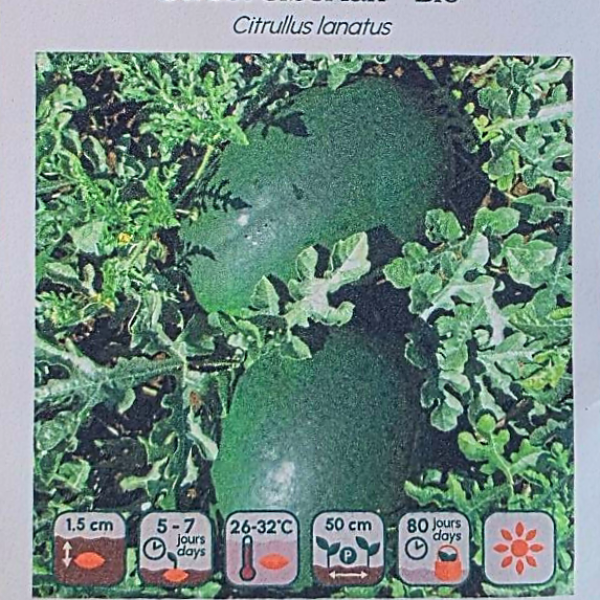 Melon d'eau Sweet Siberian - Bio