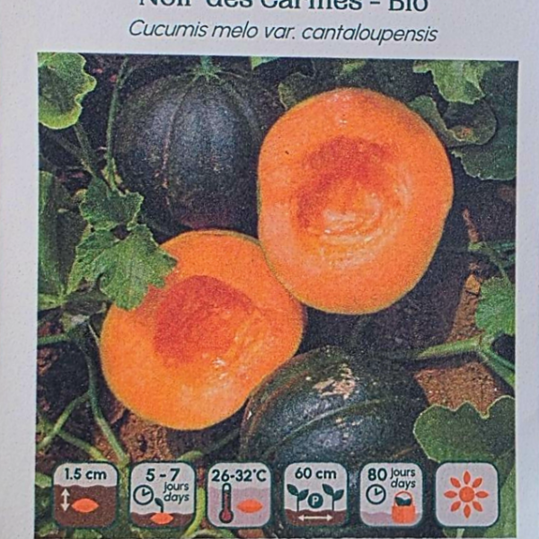 Melon Noir des Carmes - Bio