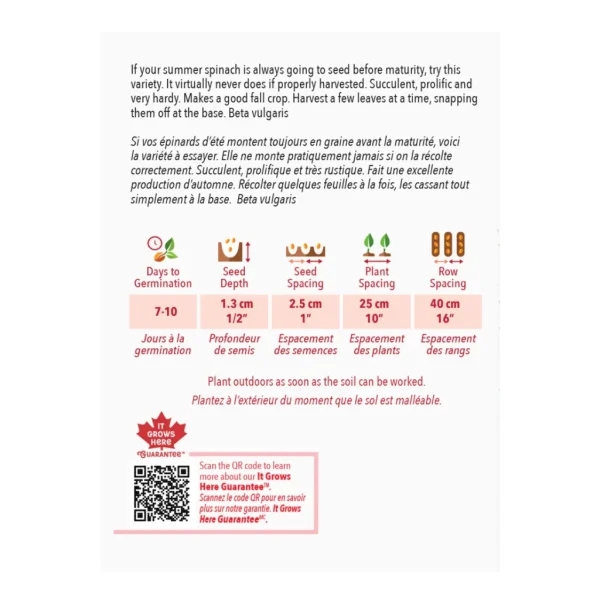 Épinard Perpetual