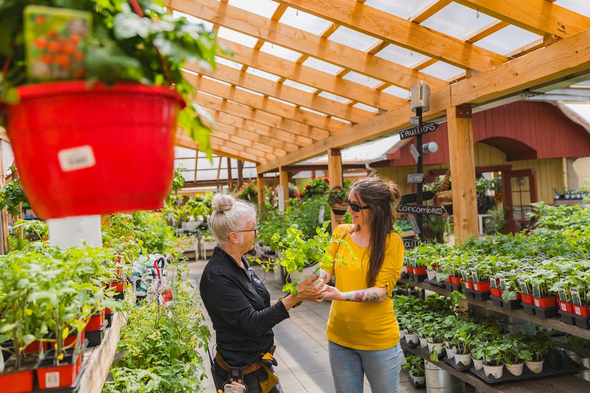 Conseillère discutant avec une cliente