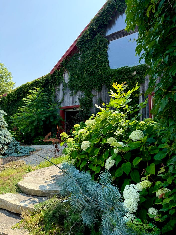 fleur et parti d'un bâtiment à Saint-André
